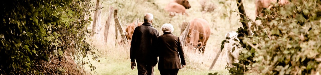 A kistelepüléseken élők közül a legtöbben elsősorban nyugdíjra gyűjtenek