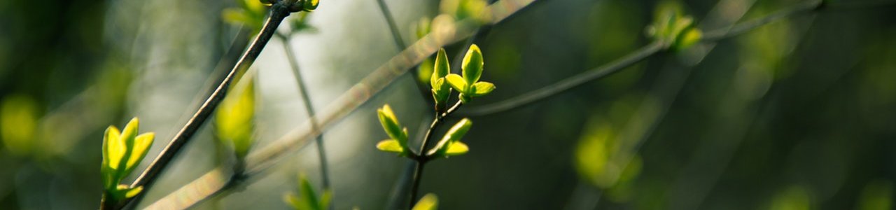 Mezőgazdasási biztosítások: érdemes már most készülni a kiszámíthatatlan tavaszra