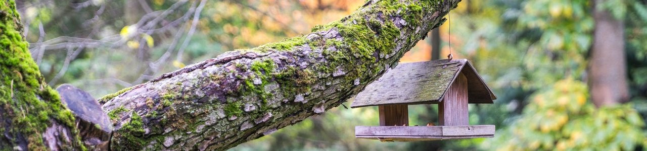 A telekpiacot is átalakíthatják a CSOK-szabályok