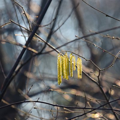 Nem volt még ilyen katasztrofális időjárás februárban